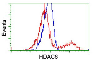 HDAC6 Antibody in Flow Cytometry (Flow)