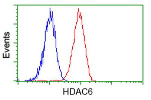 HDAC6 Antibody in Flow Cytometry (Flow)