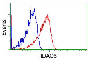 HDAC6 Antibody in Flow Cytometry (Flow)