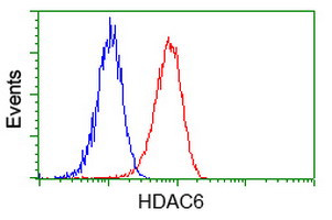 HDAC6 Antibody in Flow Cytometry (Flow)