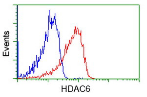 HDAC6 Antibody in Flow Cytometry (Flow)