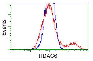 HDAC6 Antibody in Flow Cytometry (Flow)