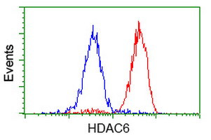 HDAC6 Antibody in Flow Cytometry (Flow)