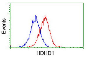 HDHD1 Antibody in Flow Cytometry (Flow)