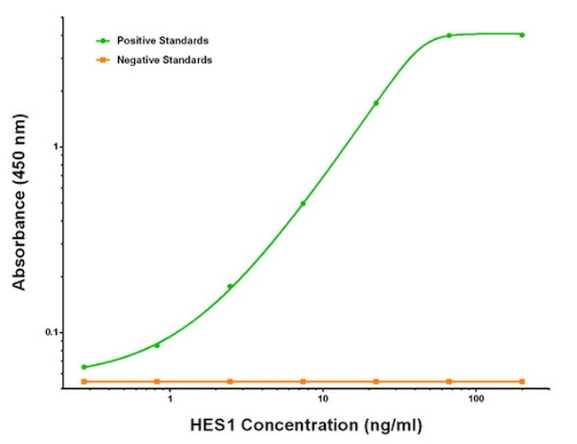 HES1 Antibody in ELISA (ELISA)