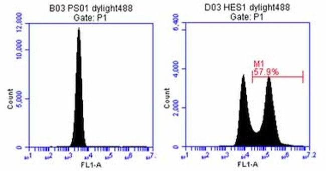 HES1 Antibody in Flow Cytometry (Flow)