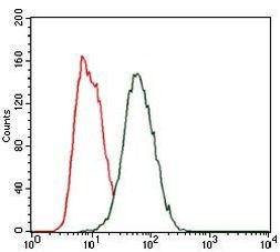 HEXA Antibody in Flow Cytometry (Flow)