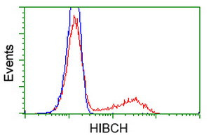 HIBCH Antibody in Flow Cytometry (Flow)