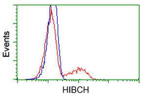 HIBCH Antibody in Flow Cytometry (Flow)