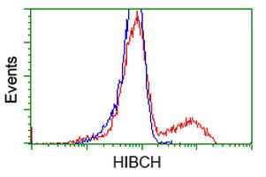 HIBCH Antibody in Flow Cytometry (Flow)