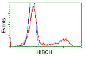 HIBCH Antibody in Flow Cytometry (Flow)