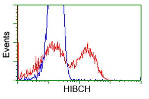 HIBCH Antibody in Flow Cytometry (Flow)