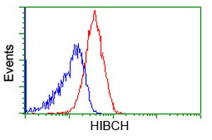 HIBCH Antibody in Flow Cytometry (Flow)