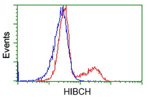 HIBCH Antibody in Flow Cytometry (Flow)