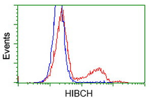 HIBCH Antibody in Flow Cytometry (Flow)