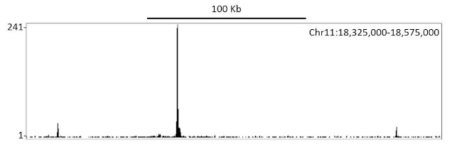 HIF1-alpha Antibody in ChIP-Sequencing (ChIP-seq)