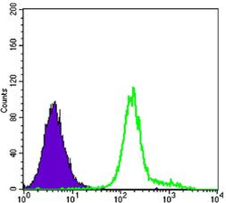 HK1 Antibody in Flow Cytometry (Flow)