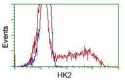 HK2 Antibody in Flow Cytometry (Flow)