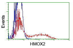 HMOX2 Antibody in Flow Cytometry (Flow)