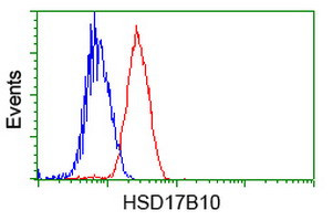 HSD17B10 Antibody in Flow Cytometry (Flow)