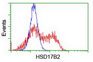 HSD17B2 Antibody in Flow Cytometry (Flow)