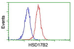 HSD17B2 Antibody in Flow Cytometry (Flow)