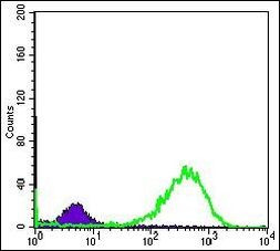 HSP60 Antibody in Flow Cytometry (Flow)