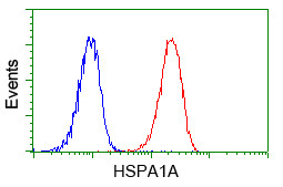 HSPA1A Antibody in Flow Cytometry (Flow)