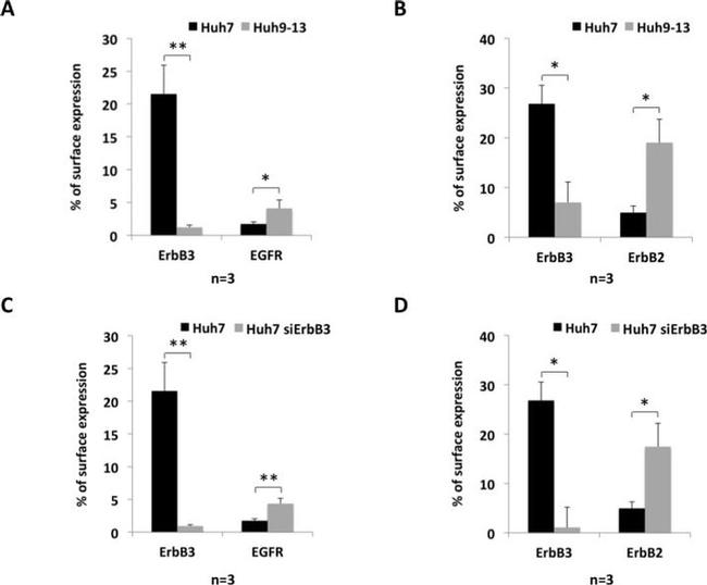 ErbB2 (HER-2) Antibody in Flow Cytometry (Flow)