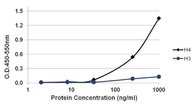 Histone H4 Antibody in ELISA (ELISA)