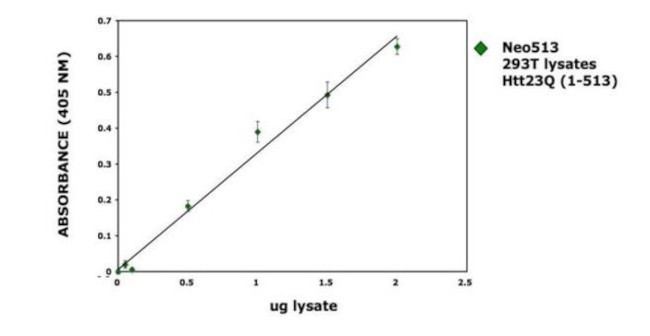 Huntingtin Antibody in ELISA (ELISA)