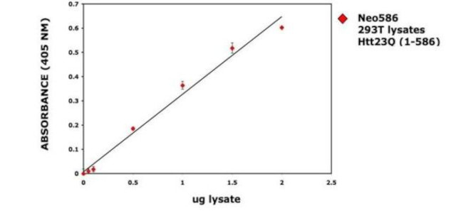 Huntingtin Antibody in ELISA (ELISA)