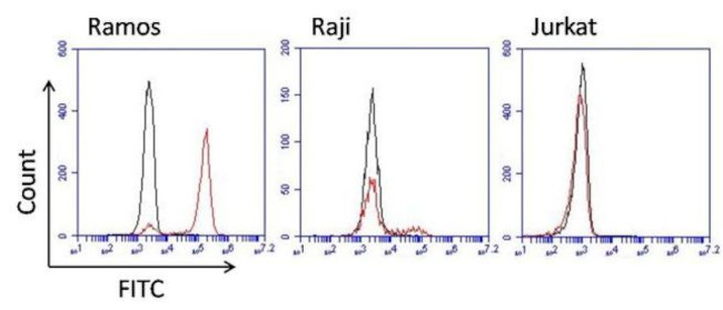 Human IgM Secondary Antibody in Flow Cytometry (Flow)