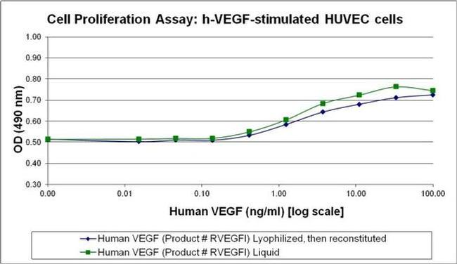 Human VEGF-165 Protein in Functional Assay (Functional)