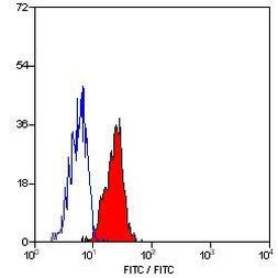 ICAM-1 Antibody in Flow Cytometry (Flow)