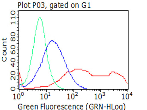 ICAM1 Antibody in Flow Cytometry (Flow)