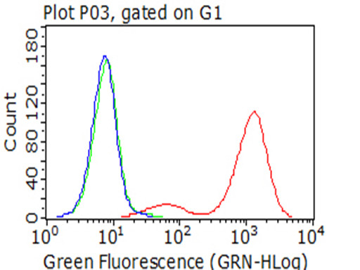 ICAM1 Antibody in Flow Cytometry (Flow)