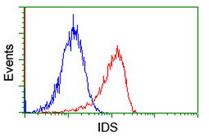 IDS Antibody in Flow Cytometry (Flow)