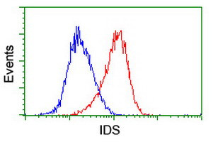 IDS Antibody in Flow Cytometry (Flow)