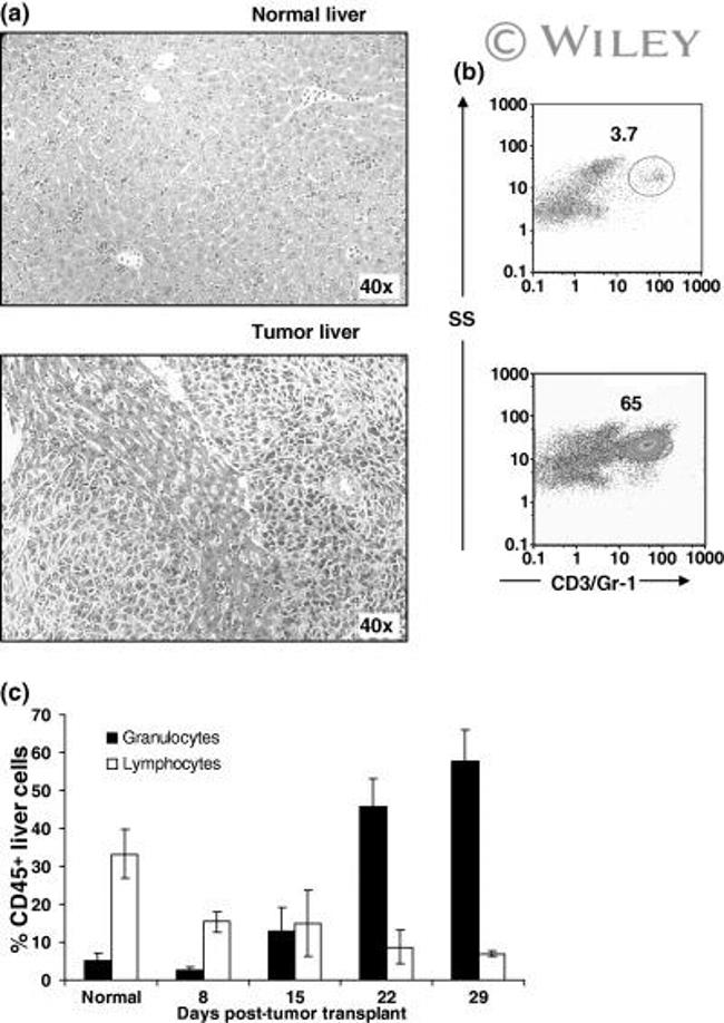 Ly-6G/Ly-6C Antibody in Flow Cytometry (Flow)