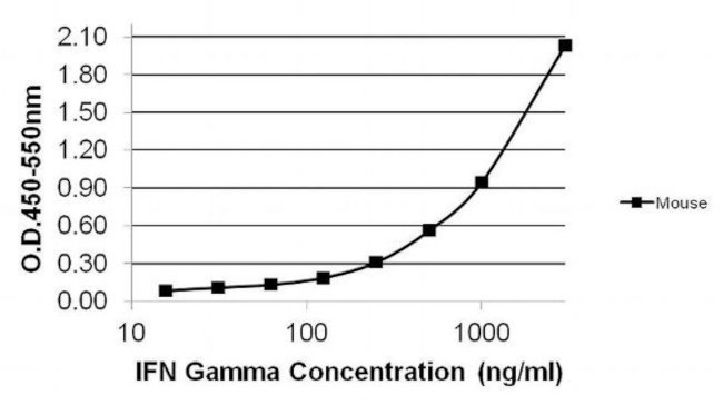 IFN gamma Antibody in ELISA (ELISA)