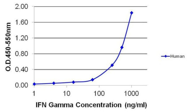 IFN gamma Antibody in ELISA (ELISA)