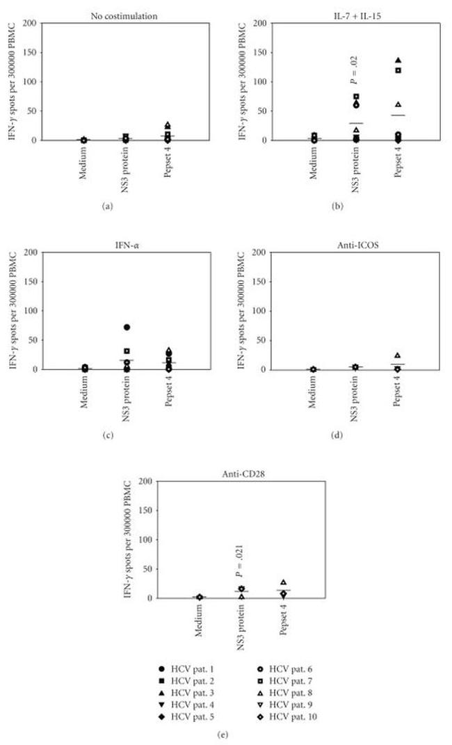 IFN gamma Antibody in ELISA (ELISA)