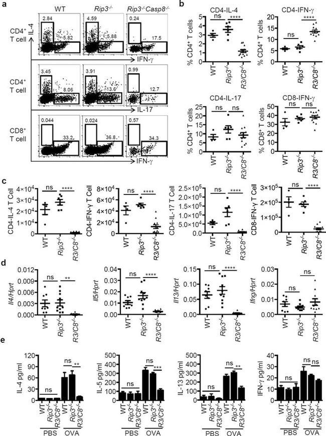 IL-17A Antibody in Flow Cytometry (Flow)