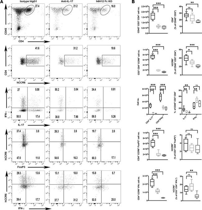 IL-17A Antibody in Flow Cytometry (Flow)