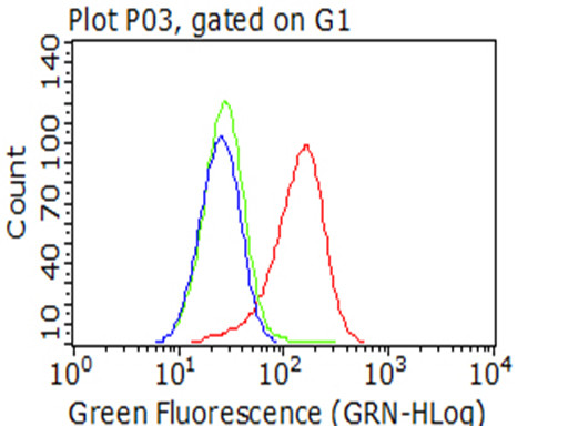 IGF1R Antibody in Flow Cytometry (Flow)