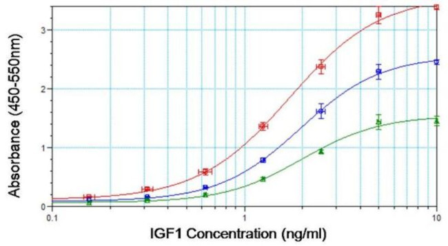 IGF1 Antibody in ELISA (ELISA)