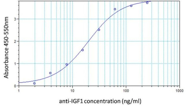 IGF1 Antibody in ELISA (ELISA)