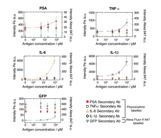 IL-6 Antibody in Peptide array (ARRAY)