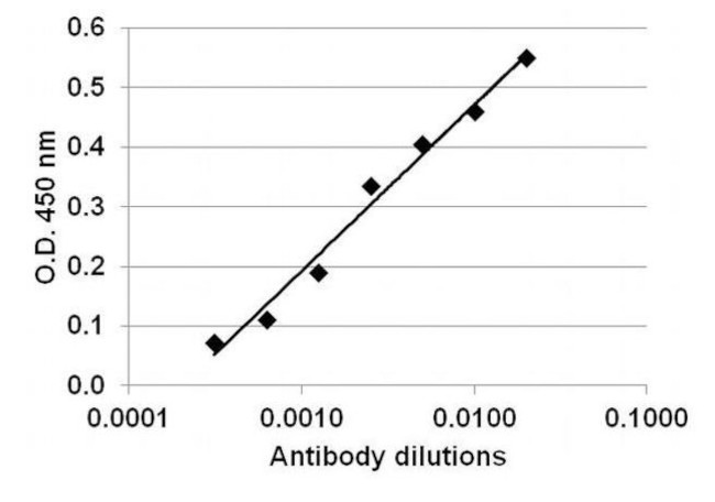 IL-2 Antibody in ELISA (ELISA)